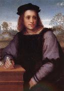Andrea del Sarto Man portrait oil
